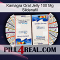 Kamagra Oral Jelly 100Mg Sildenafil kamagra1